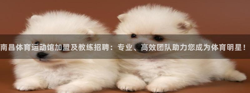 必威betway西汉姆联