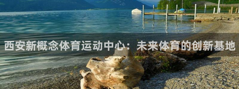 必威betway西汉姆联