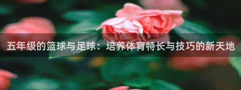 betway西汉姆联