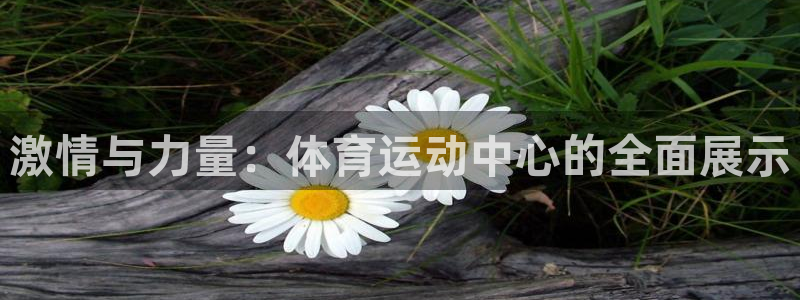 betway西汉姆