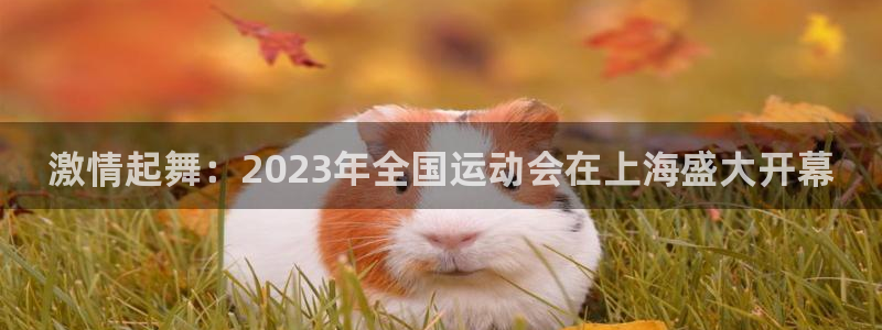betway西汉姆官网